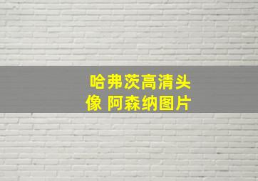 哈弗茨高清头像 阿森纳图片